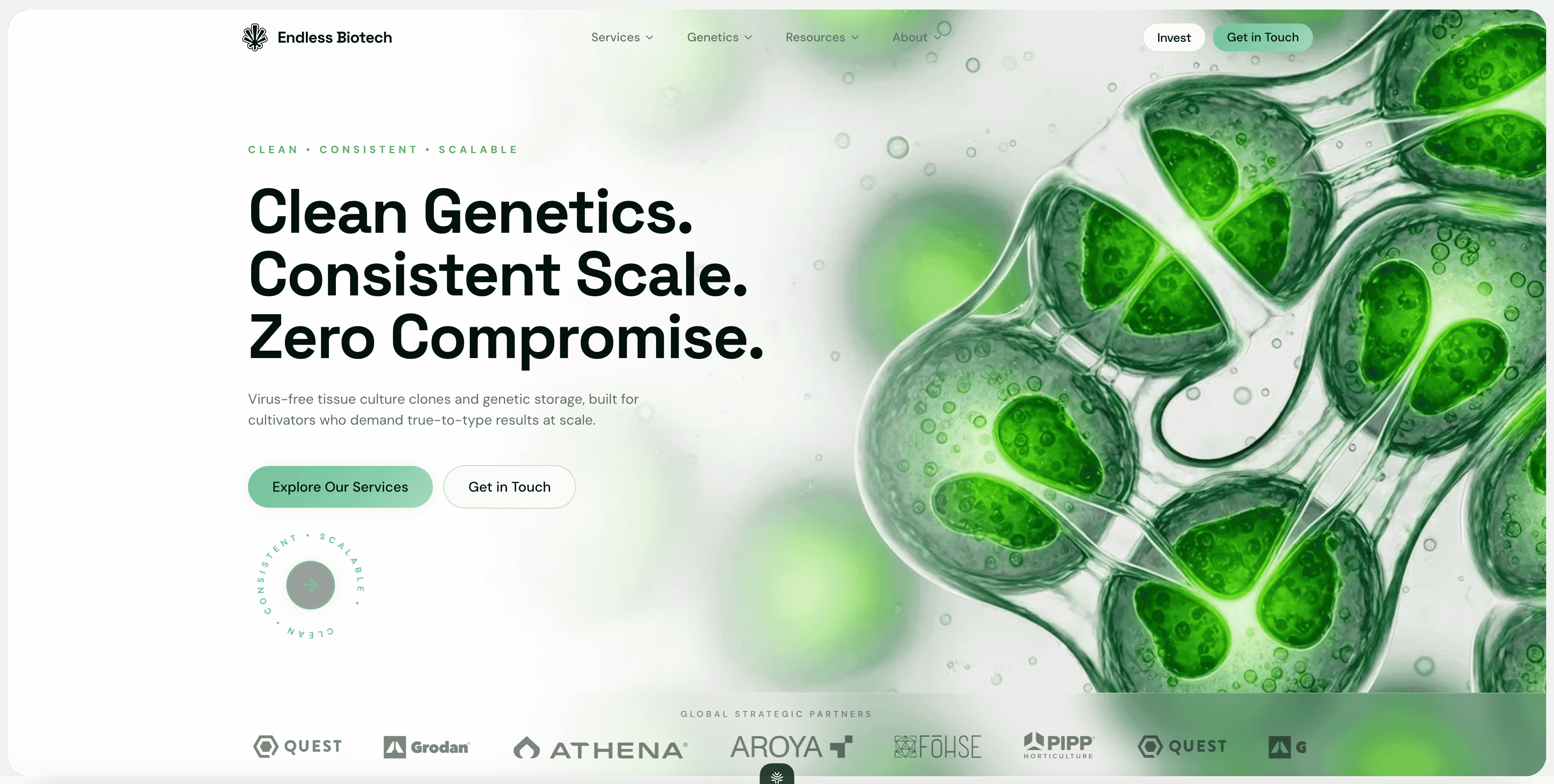 Endless Biotech